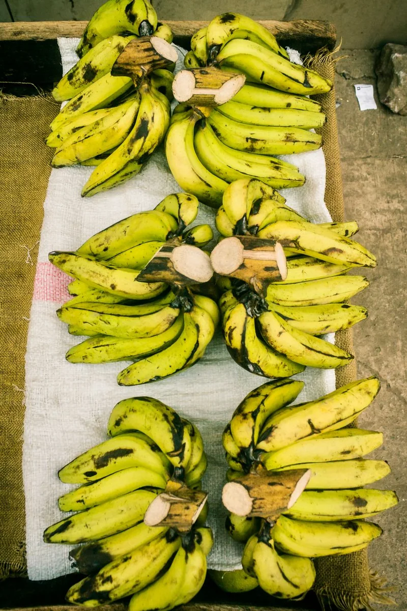 产品视频拍摄中的产品特写布光，用于展示细节与使用方式